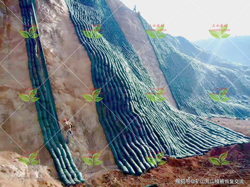 礦山坡面壘生態(tài)袋護(hù)坡植草技術(shù)