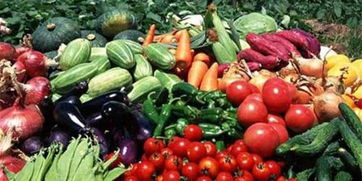 皖校食堂攜手，愛心采購助農(nóng)惠學(xué)